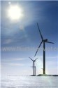 Induction Wind Generators