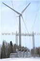 synchronous wind power generator